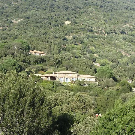 Massacan-vue