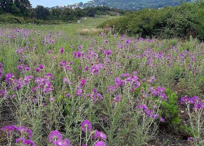 Massacan-vue Gasthof