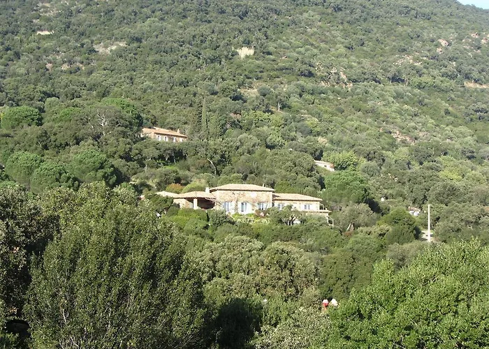 Massacan-vue