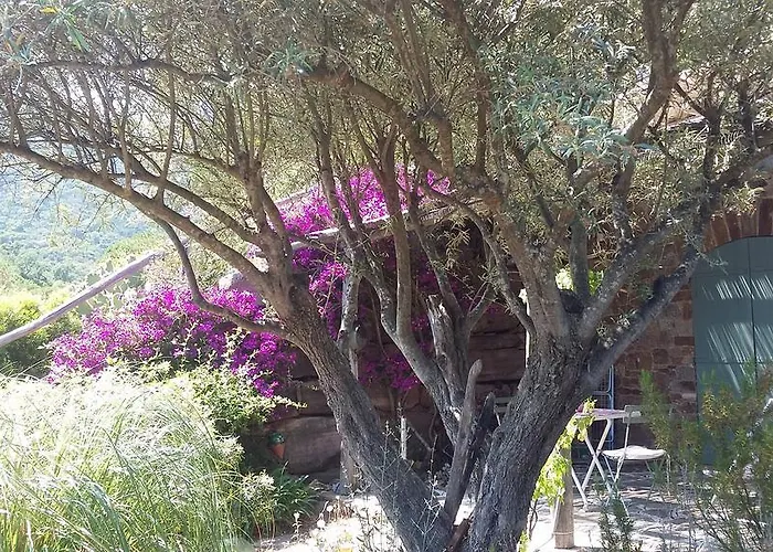 Massacan-vue Gasthof Le Lavandou