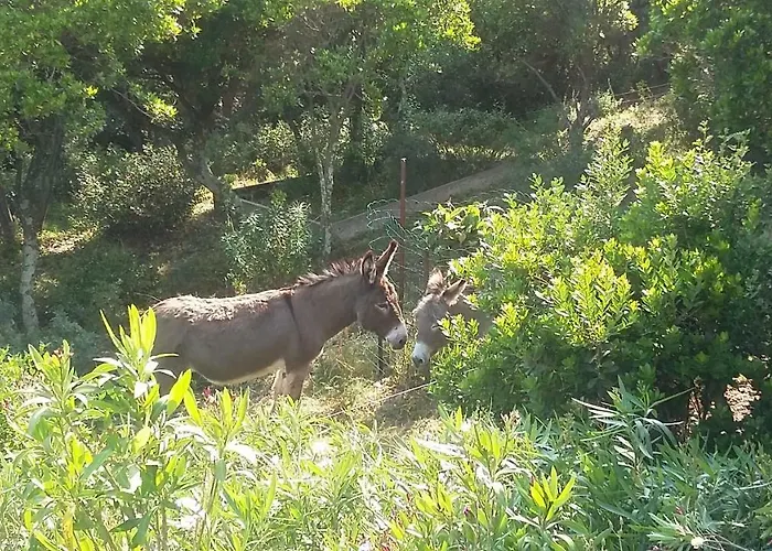 Massacan-vue 4*