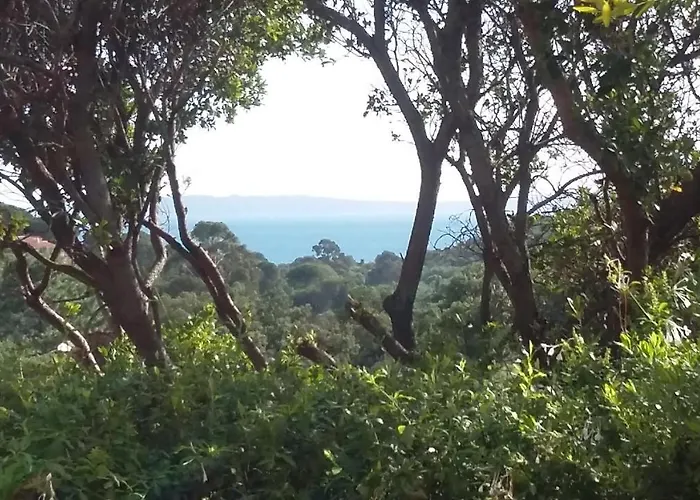 Gasthof Massacan-vue Le Lavandou