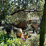Massacan-vue Maison d'hôtes 4*