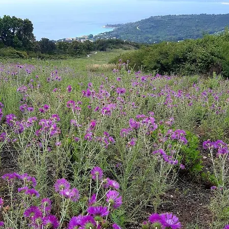 Massacan-vue Maison d'hôtes