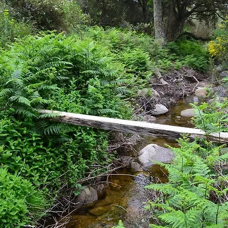Massacan-vue Casa de hóspedes Le Lavandou