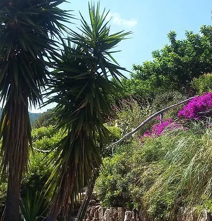 Massacan-vue Le Lavandou