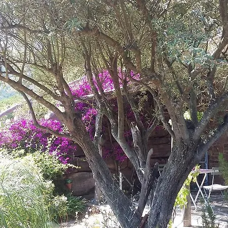 Massacan-vue Casa de hóspedes Le Lavandou