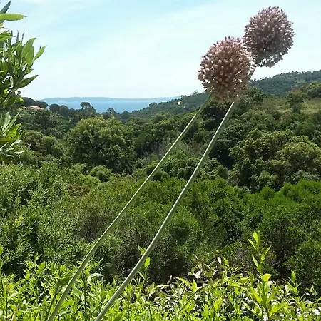 Pensjonat Massacan-vue Le Lavandou