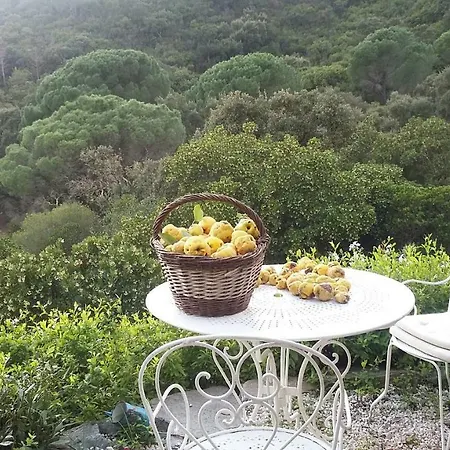 Massacan-vue Casa de hóspedes Le Lavandou