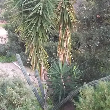 Massacan-vue 3* Le Lavandou