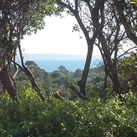 Pensjonat Massacan-vue Le Lavandou