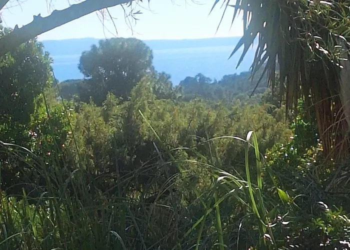 Massacan-vue Konukevi 4*